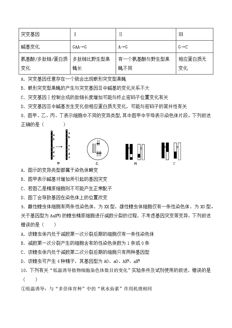（人教版2019必修2）高一生物同步练习 第五章  基因突变及其他变异（考点串讲课件+练习+解析）03