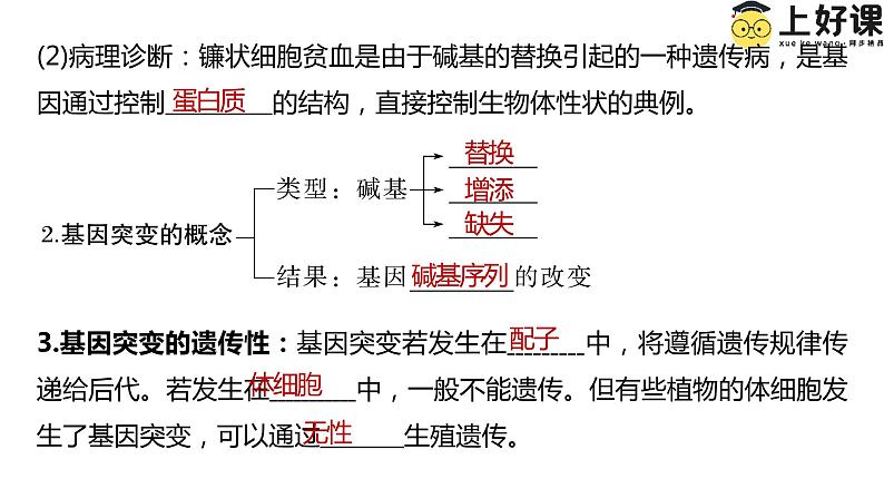 （人教版2019必修2）高一生物同步练习 第五章  基因突变及其他变异（考点串讲课件+练习+解析）03