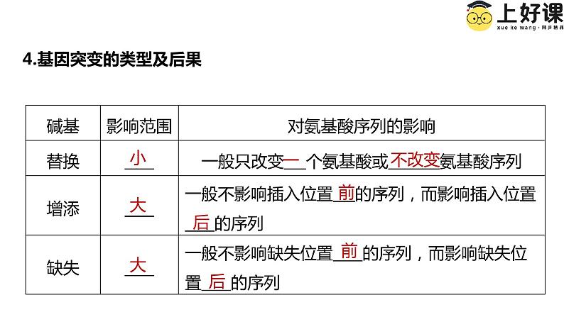 （人教版2019必修2）高一生物同步练习 第五章  基因突变及其他变异（考点串讲课件+练习+解析）04