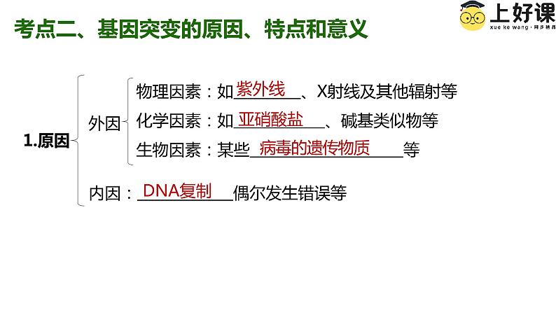 （人教版2019必修2）高一生物同步练习 第五章  基因突变及其他变异（考点串讲课件+练习+解析）05