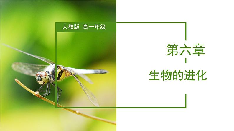 （人教版2019必修2）高一生物同步练习 第六章 生物的进化（考点串讲课件+练习+解析）01