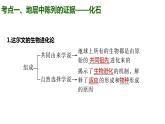 （人教版2019必修2）高一生物同步练习 第六章 生物的进化（考点串讲课件+练习+解析）