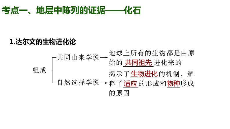 （人教版2019必修2）高一生物同步练习 第六章 生物的进化（考点串讲课件+练习+解析）02