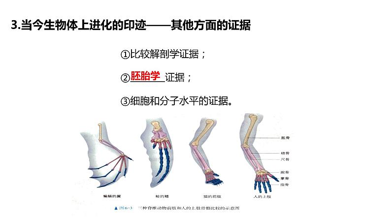 （人教版2019必修2）高一生物同步练习 第六章 生物的进化（考点串讲课件+练习+解析）04