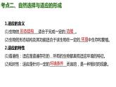 （人教版2019必修2）高一生物同步练习 第六章 生物的进化（考点串讲课件+练习+解析）