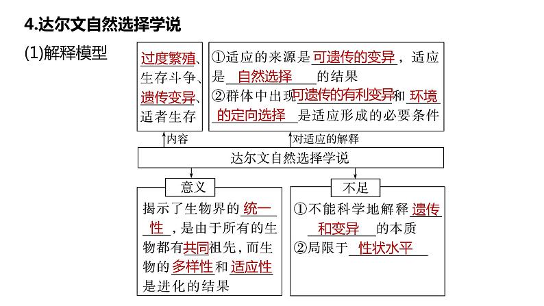 （人教版2019必修2）高一生物同步练习 第六章 生物的进化（考点串讲课件+练习+解析）07