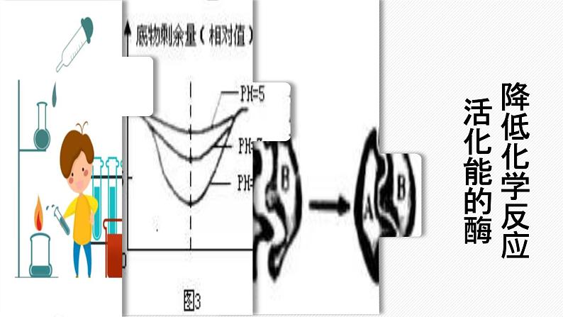 （人教版2019必修1）高一生物同步精品 5.1 降低化学反应活化能的酶（第2课时）（精讲课件+教学设计）01