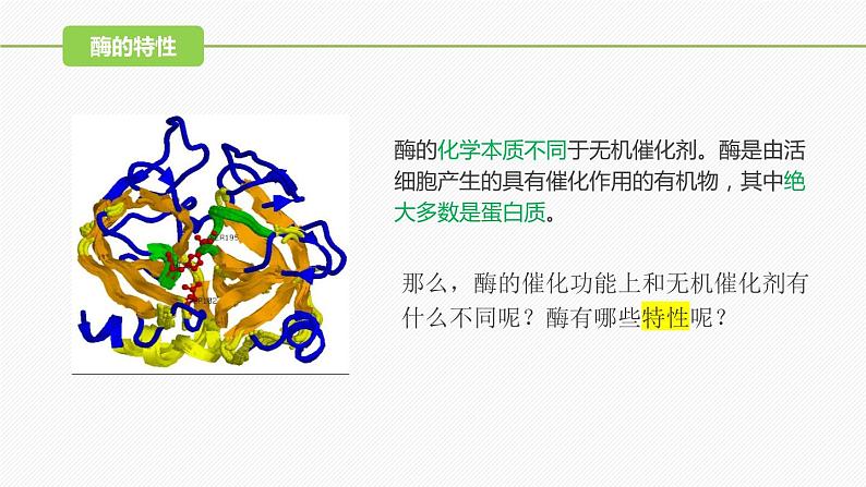 （人教版2019必修1）高一生物同步精品 5.1 降低化学反应活化能的酶（第2课时）（精讲课件+教学设计）04