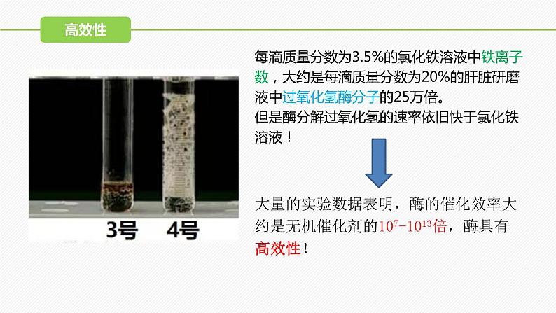 （人教版2019必修1）高一生物同步精品 5.1 降低化学反应活化能的酶（第2课时）（精讲课件+教学设计）05