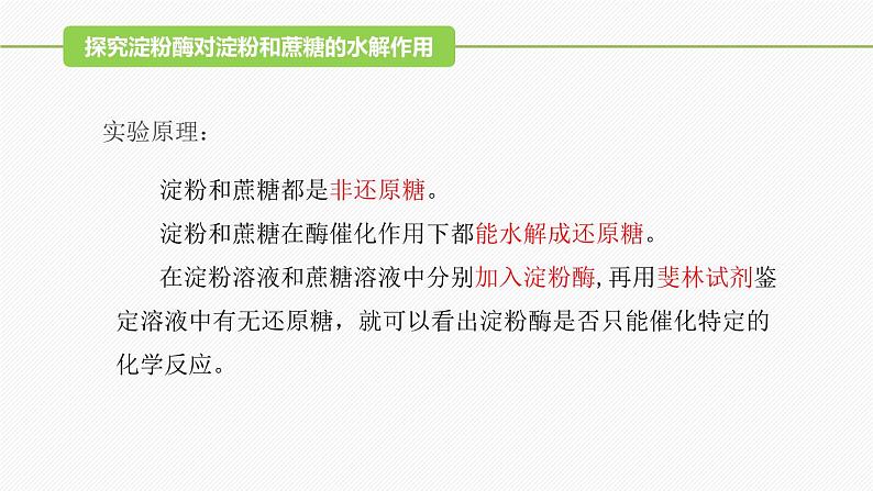 （人教版2019必修1）高一生物同步精品 5.1 降低化学反应活化能的酶（第2课时）（精讲课件+教学设计）07