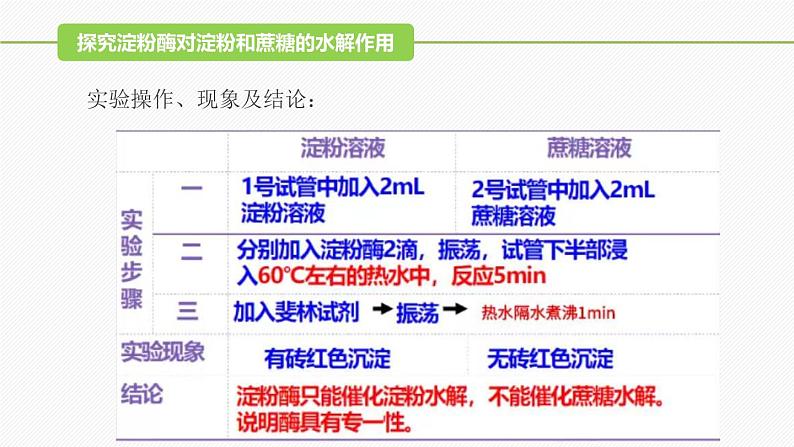 （人教版2019必修1）高一生物同步精品 5.1 降低化学反应活化能的酶（第2课时）（精讲课件+教学设计）08