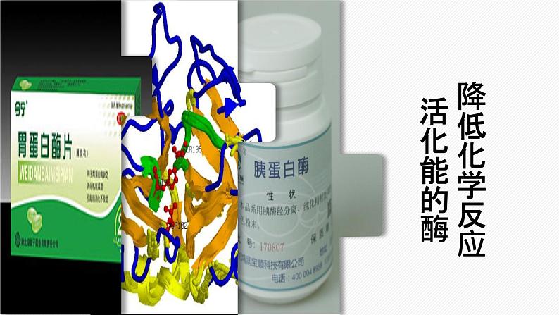 （人教版2019必修1）高一生物同步精品课件 5.1 降低化学反应活化能的酶（第1课时）（精讲课件）第1页