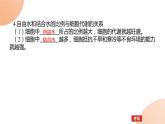 2024学年人教版生物必修一同步课件 2.2