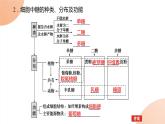 2024学年人教版生物必修一同步课件 2.3