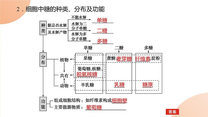 2024学年人教版生物必修一同步课件 2.3第3页