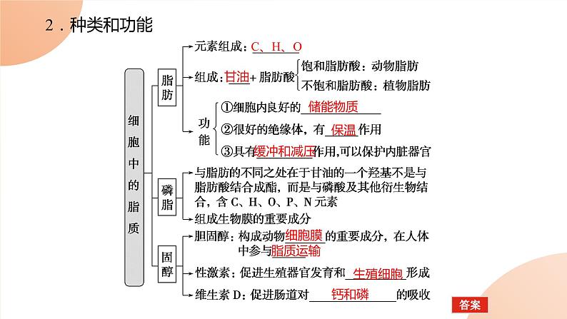 2024学年人教版生物必修一同步课件 2.3第5页