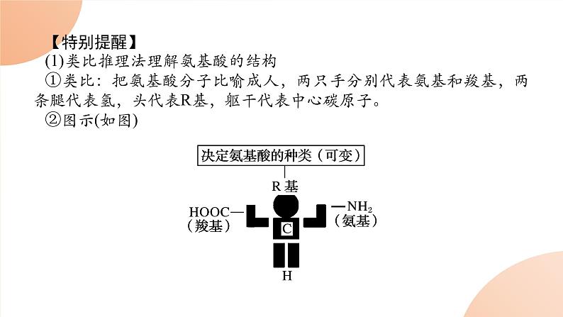 2024学年人教版生物必修一同步课件 2.4第5页