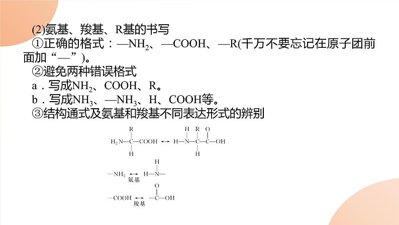 2024学年人教版生物必修一同步课件 2.4第6页