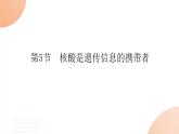 2024学年人教版生物必修一同步课件 2.5