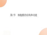 2024学年人教版生物必修一同步课件 3.1