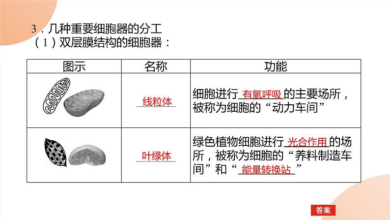 2024学年人教版生物必修一同步课件 3.2.1第3页