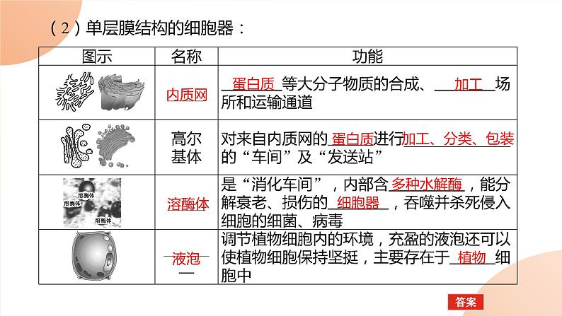 2024学年人教版生物必修一同步课件 3.2.1第4页