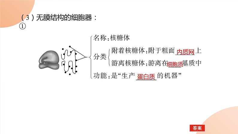 2024学年人教版生物必修一同步课件 3.2.1第5页