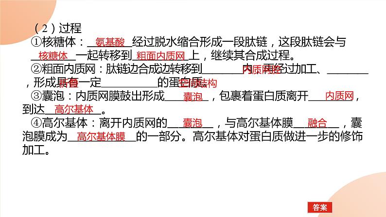 2024学年人教版生物必修一同步课件 3.2.2第4页