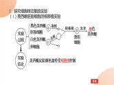 2024学年人教版生物必修一同步课件 3.3