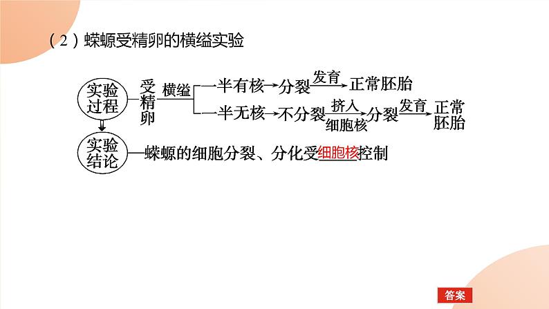 2024学年人教版生物必修一同步课件 3.3第4页