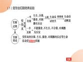 2024学年人教版生物必修一同步课件 3.3