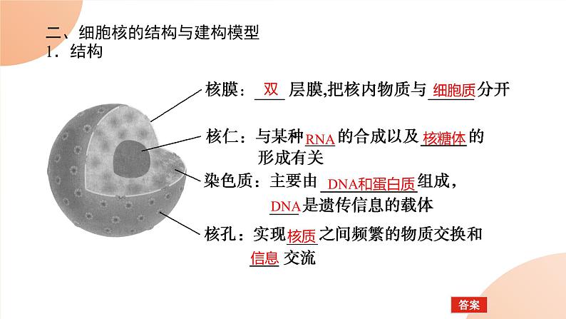 2024学年人教版生物必修一同步课件 3.3第8页