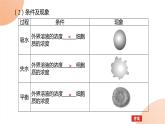 2024学年人教版生物必修一同步课件 4.1