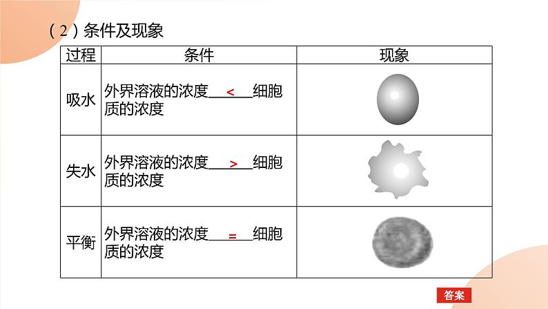 2024学年人教版生物必修一同步课件 4.1第4页