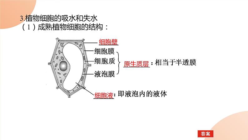 2024学年人教版生物必修一同步课件 4.1第5页