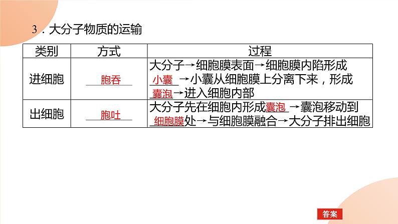 2024学年人教版生物必修一同步课件 4.2第7页