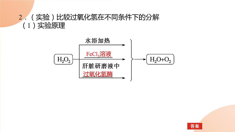 2024学年人教版生物必修一同步课件 5.1.103