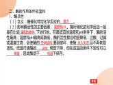 2024学年人教版生物必修一同步课件 5.1.2