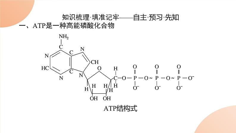 2024学年人教版生物必修一同步课件 5.2第2页