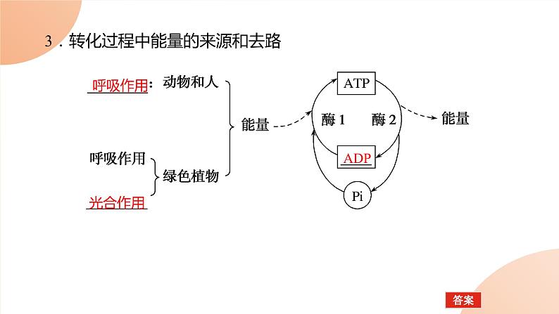 2024学年人教版生物必修一同步课件 5.2第6页