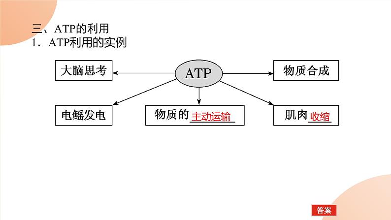 2024学年人教版生物必修一同步课件 5.2第7页