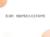 2024学年人教版生物必修一同步课件 5.3.1