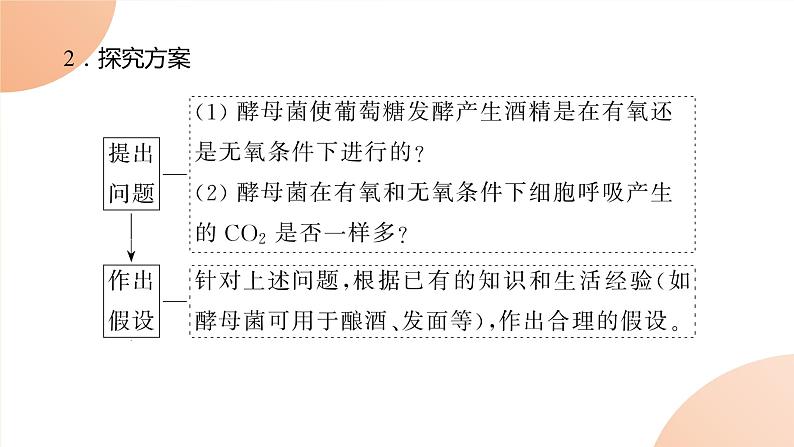 2024学年人教版生物必修一同步课件 5.3.1第3页