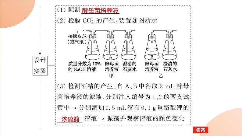 2024学年人教版生物必修一同步课件 5.3.1第4页