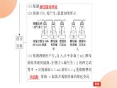 2024学年人教版生物必修一同步课件 5.3.1