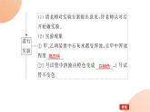 2024学年人教版生物必修一同步课件 5.3.1