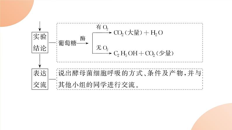 2024学年人教版生物必修一同步课件 5.3.1第6页