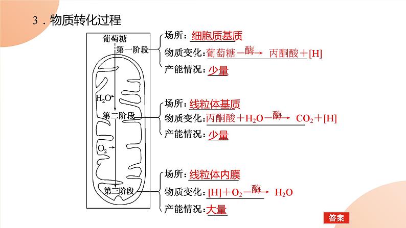 2024学年人教版生物必修一同步课件 5.3.1第8页