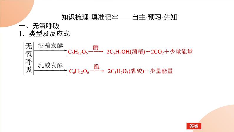 2024学年人教版生物必修一同步课件 5.3.2第2页