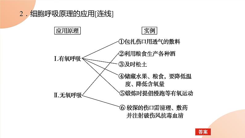 2024学年人教版生物必修一同步课件 5.3.2第6页